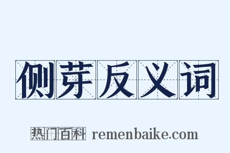 侧芽反义词是什么意思的图片